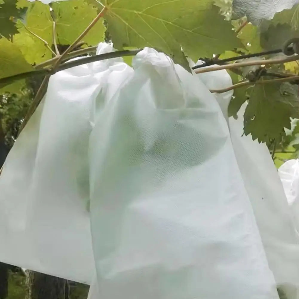 100pcs Strawberry Grapes Fruit Grow Bags Netting Mesh Protection Agriculture Garden Anti-Bird Tools Vegetable Bags Plant