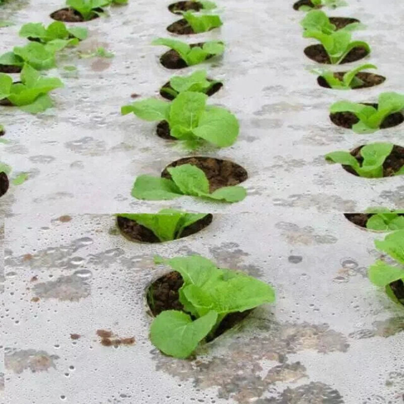 5~50m 5Holes Agricultural Vegetable Plants Cover Black Grow Film Greenhouse Keep Warm Anti Grass Plastic Mulch Film