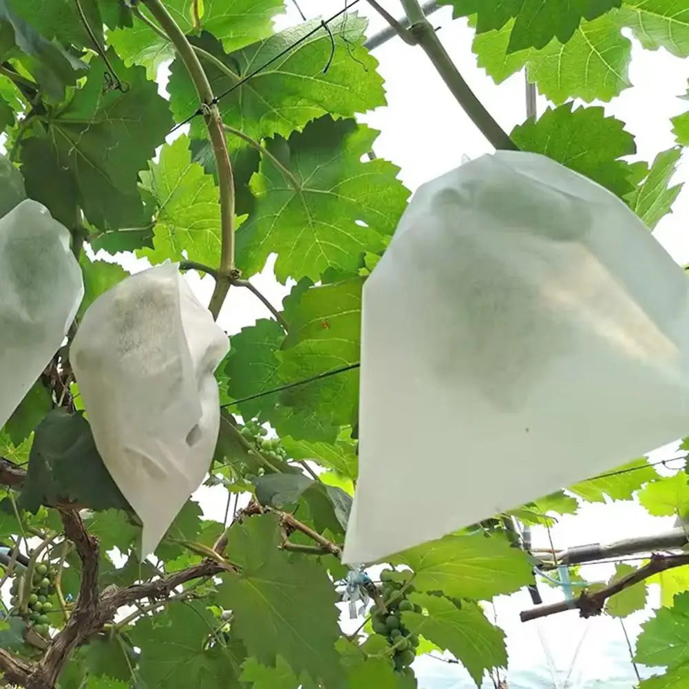 100pcs Strawberry Grapes Fruit Grow Bags Netting Mesh Protection Agriculture Garden Anti-Bird Tools Vegetable Bags Plant