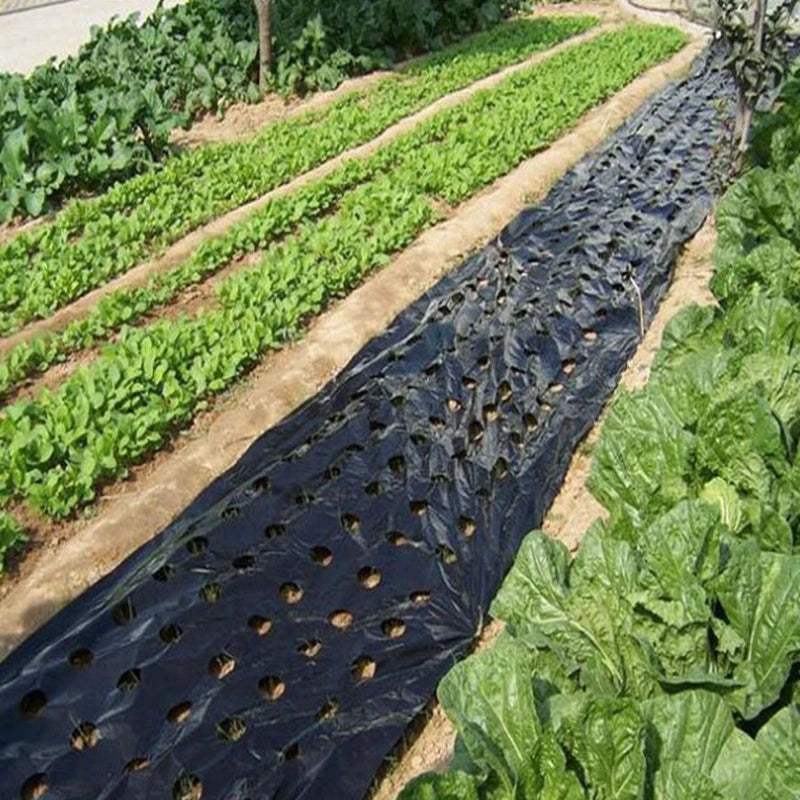 5~50m 5Holes Agricultural Vegetable Plants Cover Black Grow Film Greenhouse Keep Warm Anti Grass Plastic Mulch Film